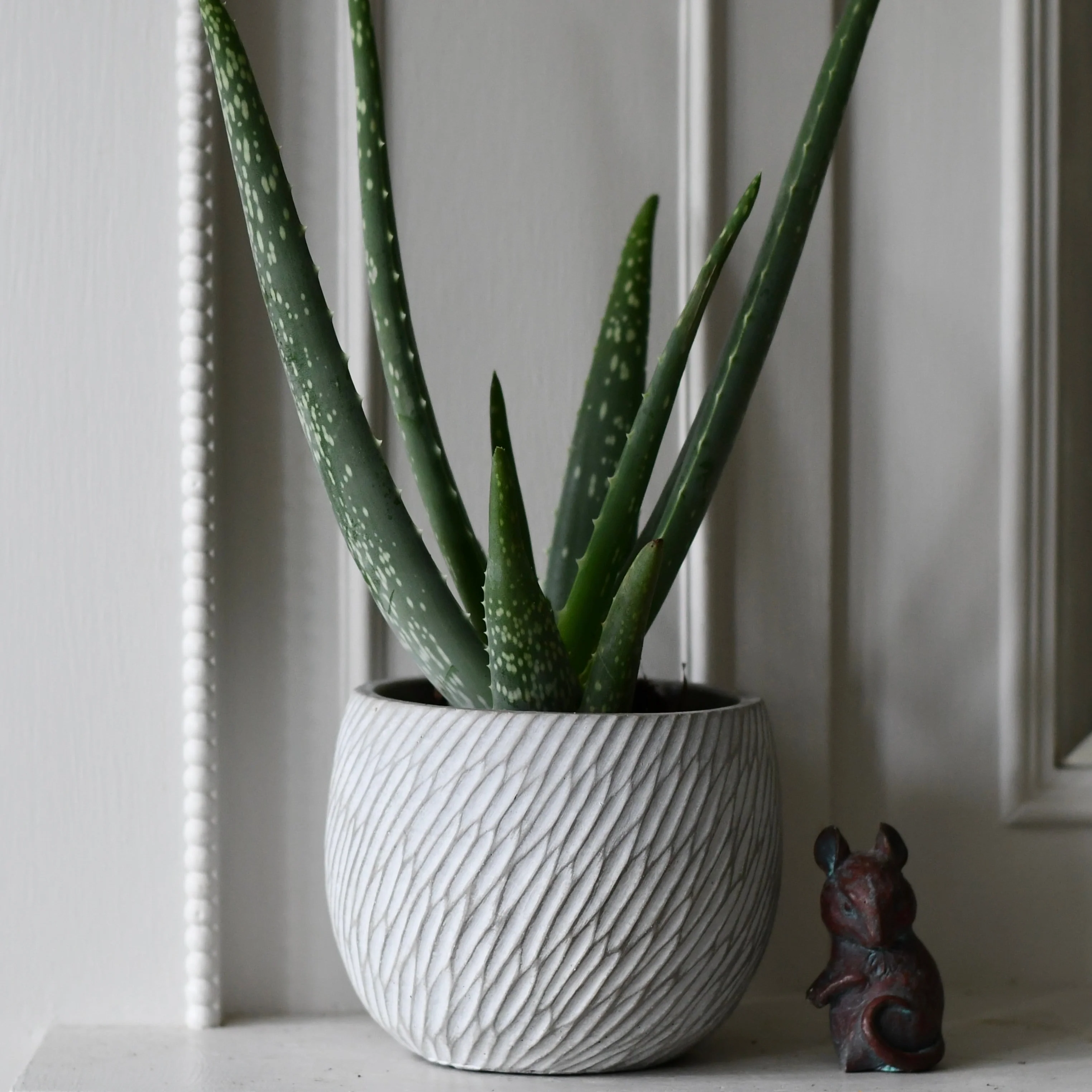 Best Selling Pots